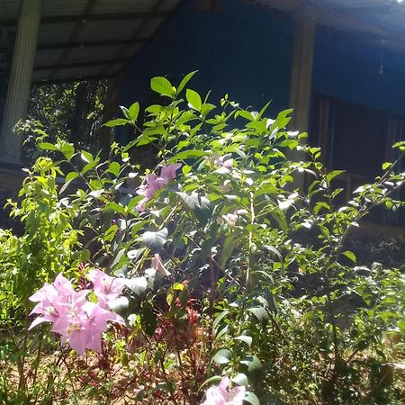 Dambulla Sun Vsh Holiday Dış mekan fotoğraf