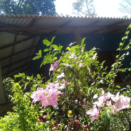Dambulla Sun Vsh Holiday Dış mekan fotoğraf