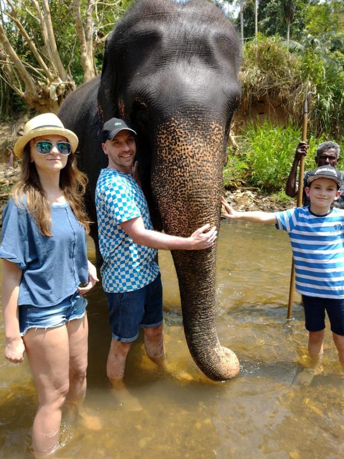 Dambulla Sun Vsh Holiday Dış mekan fotoğraf