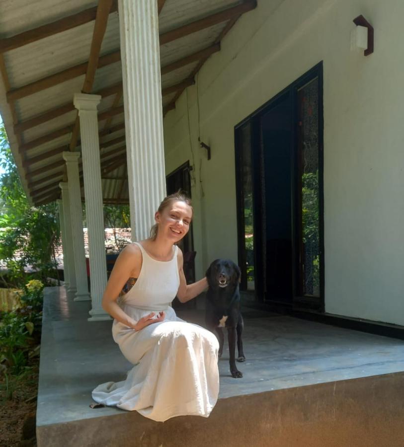 Dambulla Sun Vsh Holiday Dış mekan fotoğraf
